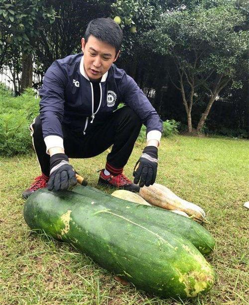 汾阳大瓜爆料视频,一场惊心动魄的真相大曝光